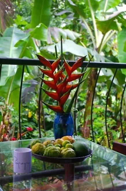 Papayas Self Catering Room Victoria